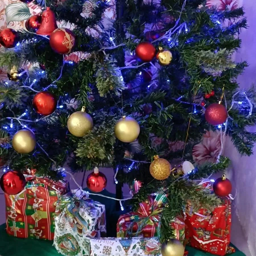 Casa de repouso com assistência 24 horas