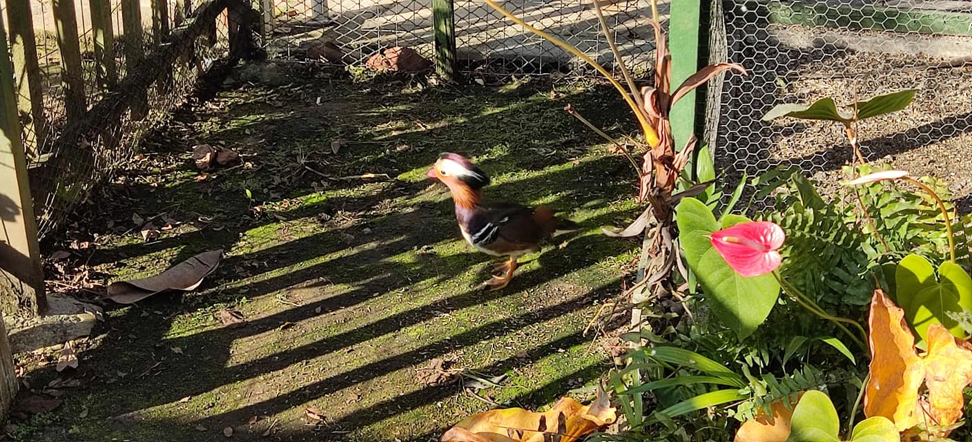 Lar de cuidado para idosos em Santa Catarina